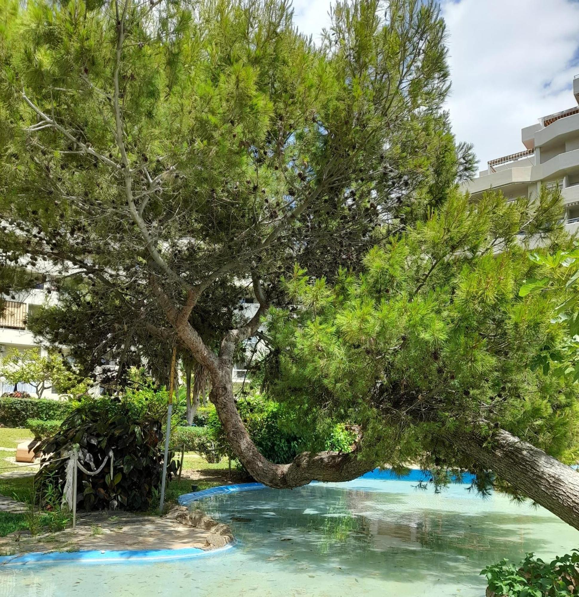 Benalbeach R&R Suite Benalmádena Exteriör bild